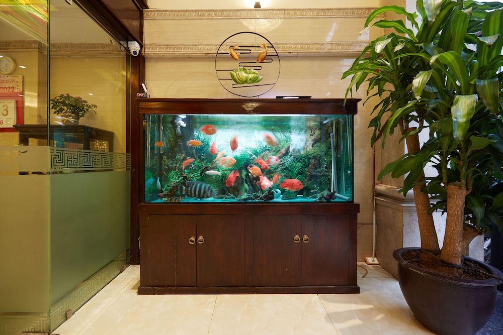 HaNoi Calido Hotel