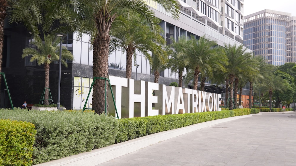Anstay Deluxe In The Matrix One