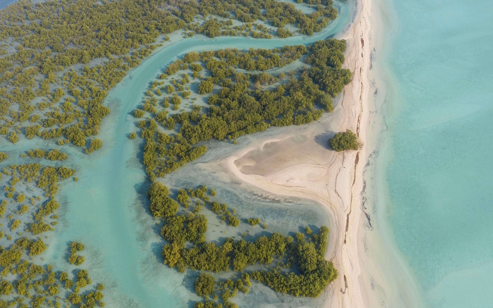 Anantara Sir Bani Yas Island Al Yamm Villa Resort