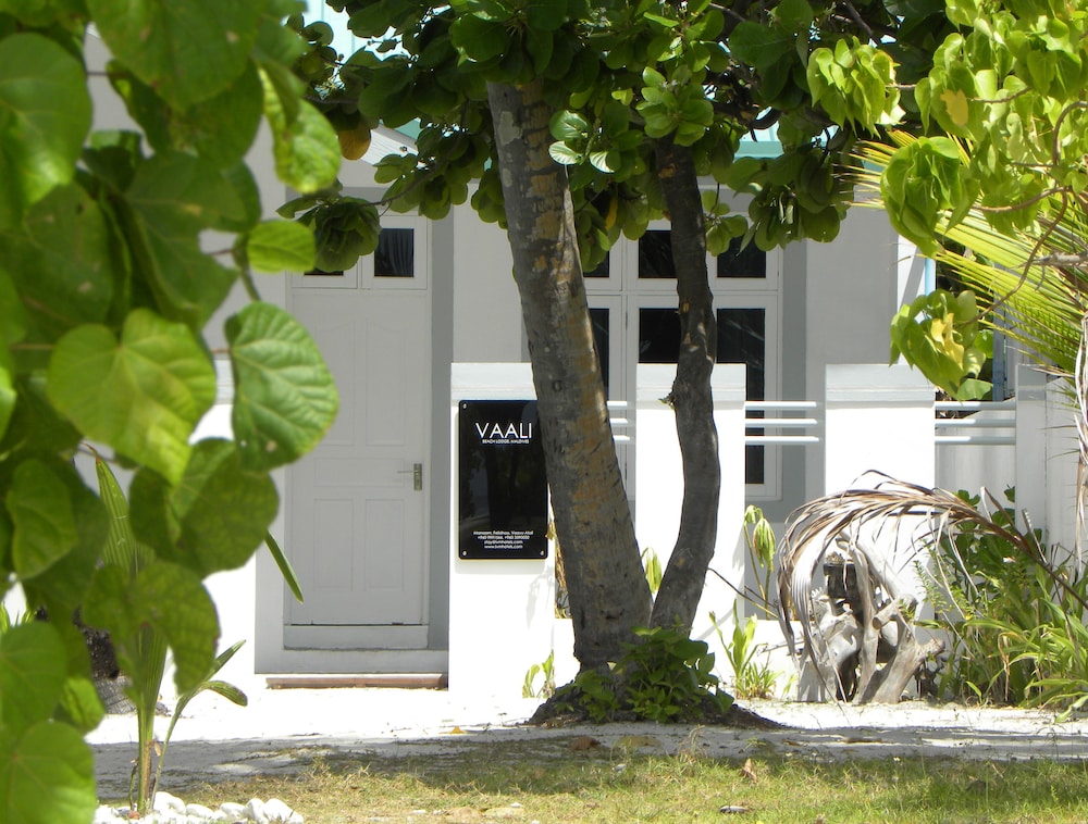 Vaali Maldives Island Escapes Dive