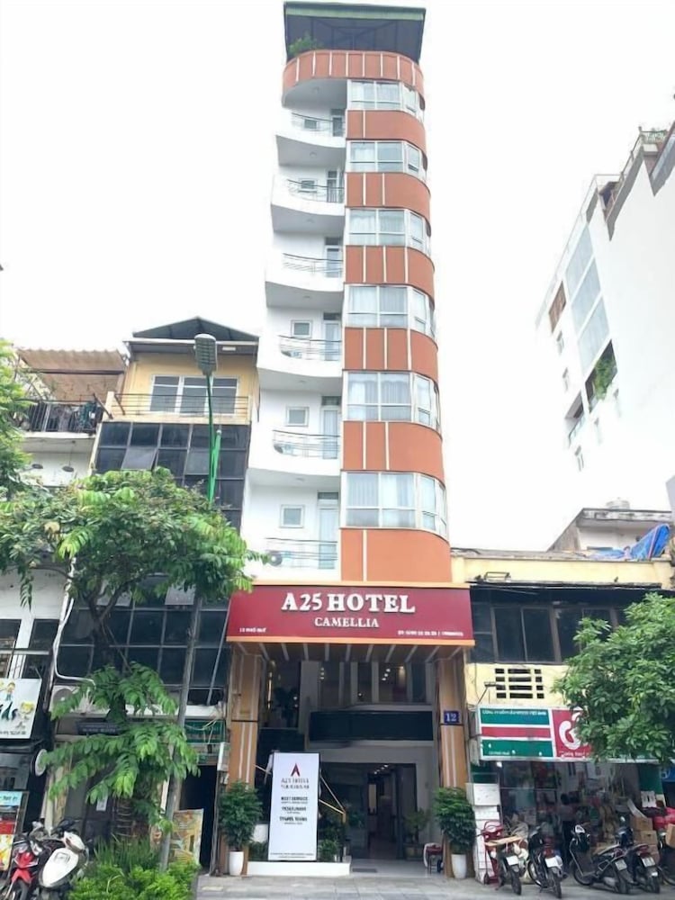 Hanoi Camellia